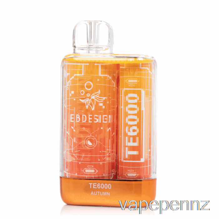EB TE6000 Disposable Autumn VAPE NZ